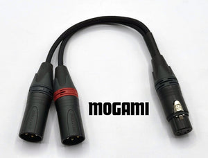 Adaptor Cable - Female 4 Pin XLR to Dual Male 3 Pin XLR - Mogami