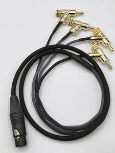Headphone Adaptor Cable - Locking Banana Plugs to Female 4 Pin XLR - 22AWG Mogami
